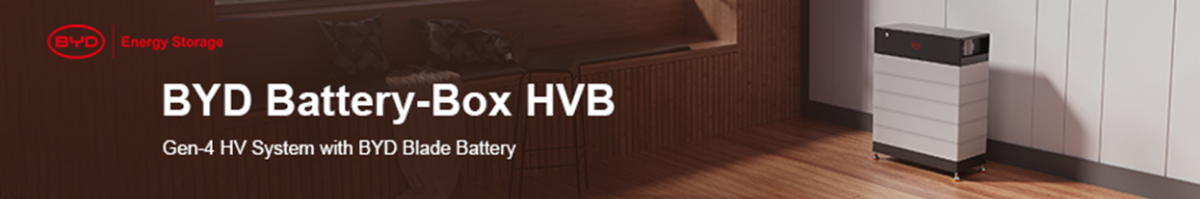 BYD HVE