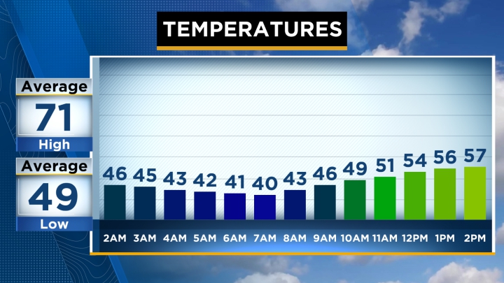 67 Cw Org Chart Biggest Discount gbutaganskij.ru