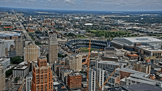 Wdiv live stream on sale