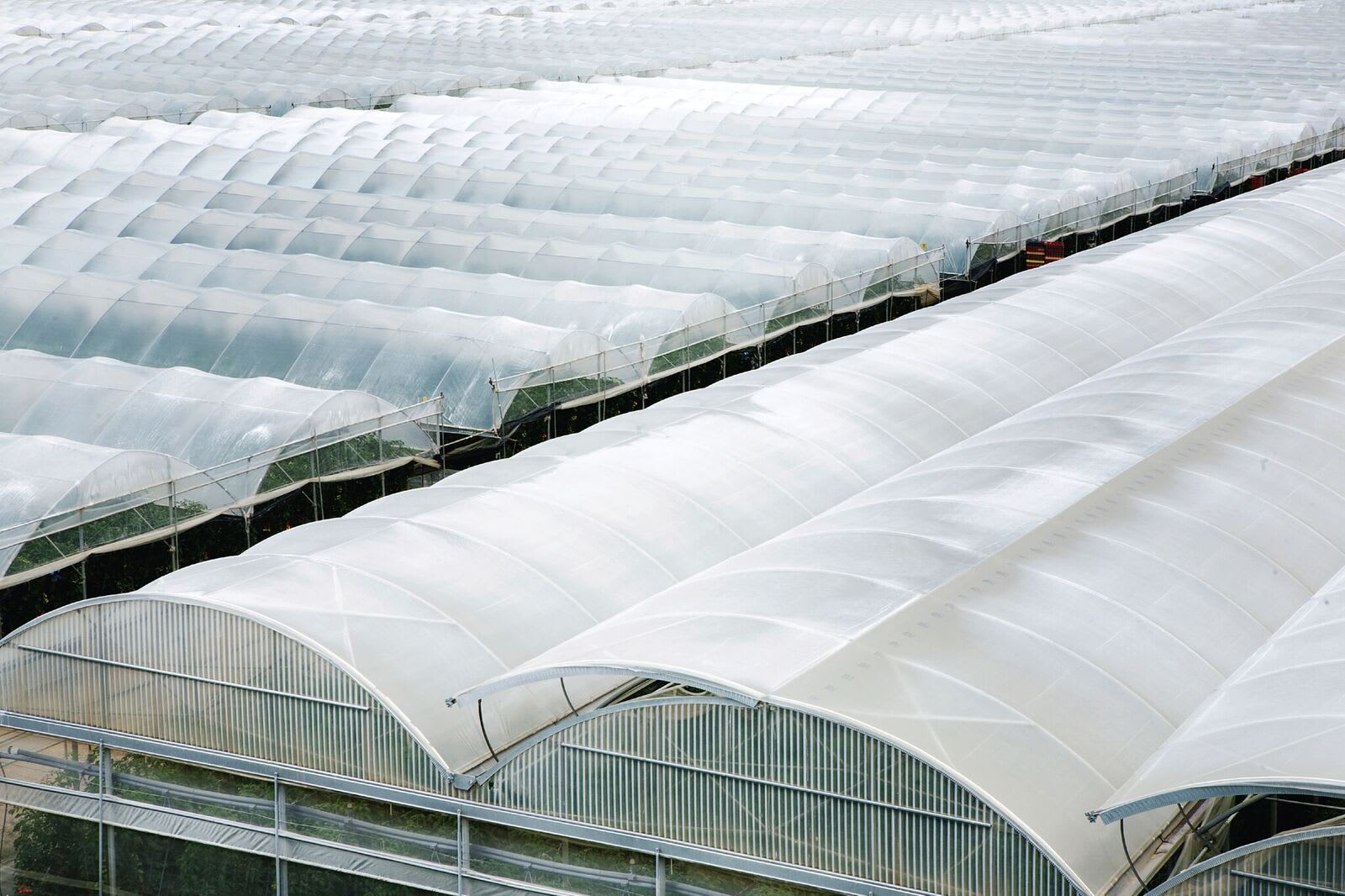 Greenhouse Plastic