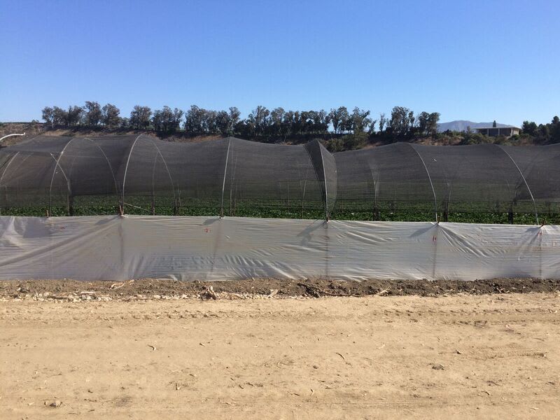 Shade Cloth