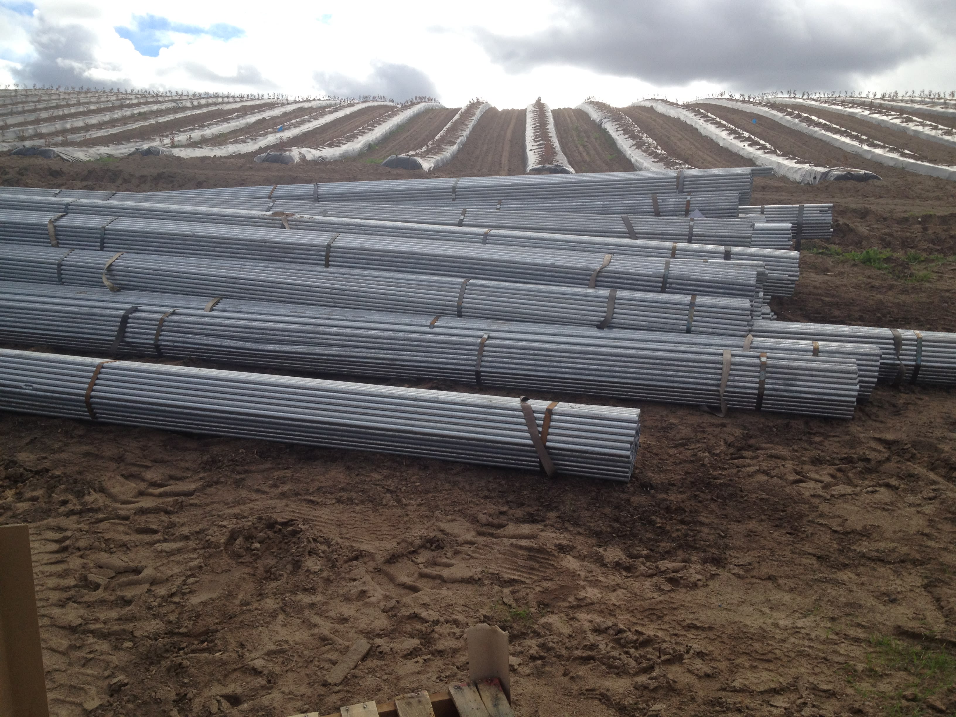 Galvenize Posts for Greenhouses