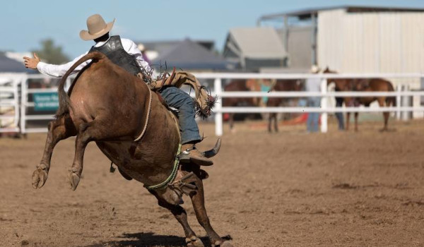 The-beautiful-Mareeba-and-the-Mareeba-Rodeo_B.jpg