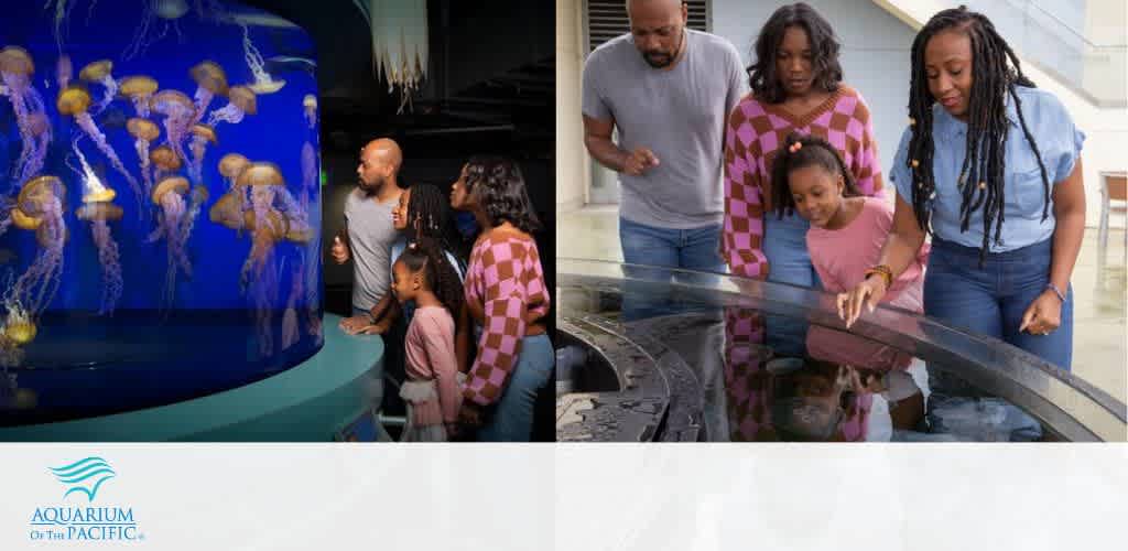 A group of enthusiastic children leans in to observe an exhibit at the Aquarium of the Pacific. They are engaging closely with the display under the guidance of an employee, who is smiling and assisting them. The setting suggests an interactive and educational experience. The image also contains the aquarium's logo and credits the organization for the photo.