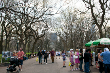 Central Park TV & Movie Sites Tour (Walking) 