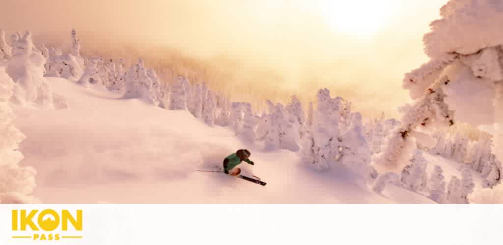 Experience Winter’s Majesty with the Ikon Pass!