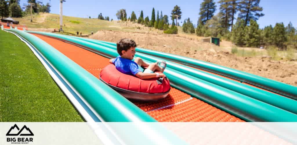 A boy in a blue shirt rides a red inner tube down a green track at Big Bear Mountain Resort.