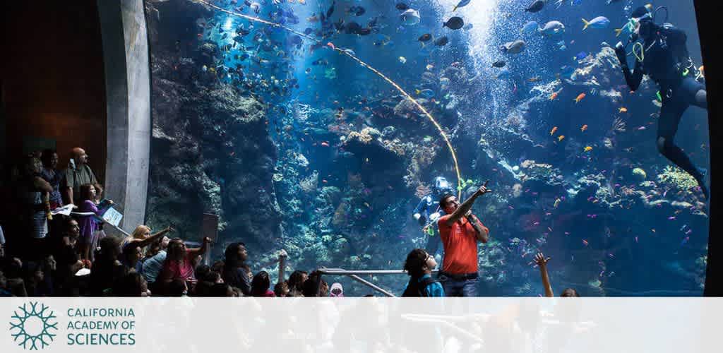 People observing a large aquarium display with a diver and colorful fish.