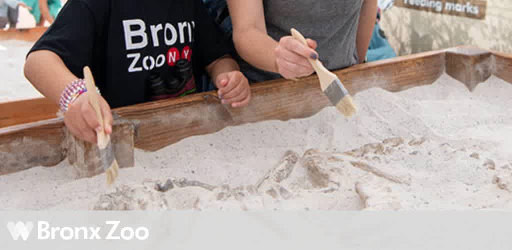 Two people brush sand from a fossil in a display at the Bronx Zoo.