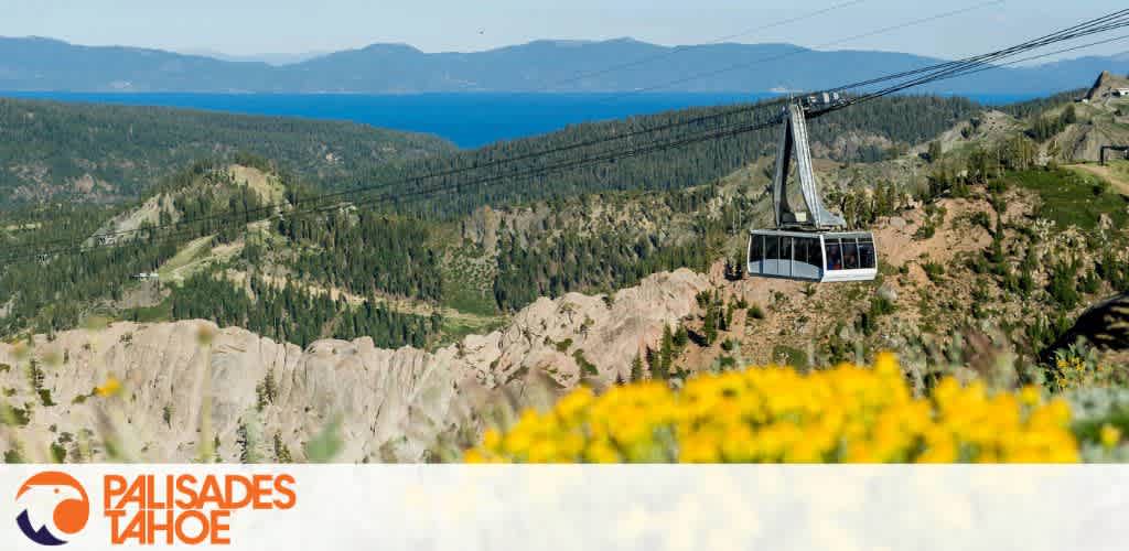 Cable car over a mountainous landscape with a lake in the background and yellow wildflowers in the foreground.