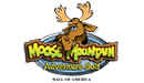 Moose Mountain Adventure Golf