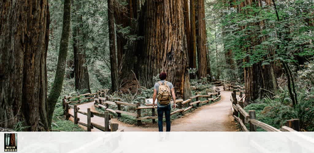 Image Description: The photo captures a tranquil scene within a dense forest of towering redwood trees. In the foreground, a person with short hair, wearing a backpack, stands on a well-trodden dirt path that meanders through the ancient woods. The trail is bordered by simple wooden fences on both sides, inviting visitors to wander amidst the natural splendor while ensuring the delicate forest floor remains undisturbed. The overhanging canopy casts a serene dappled light on the path, highlighting the lush understory of ferns and smaller plants that thrive in the shade of these majestic giants.

Visit GreatWorkPerks.com to explore a wide array of outdoor adventures, and take advantage of our exclusive discounts to ensure you're getting the lowest prices on tickets to the most breathtaking natural destinations!
