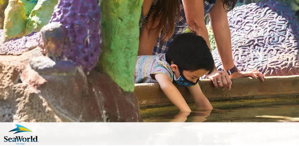 Child exploring touch pool at SeaWorld, guided by adults, with colorful coral backdrop.