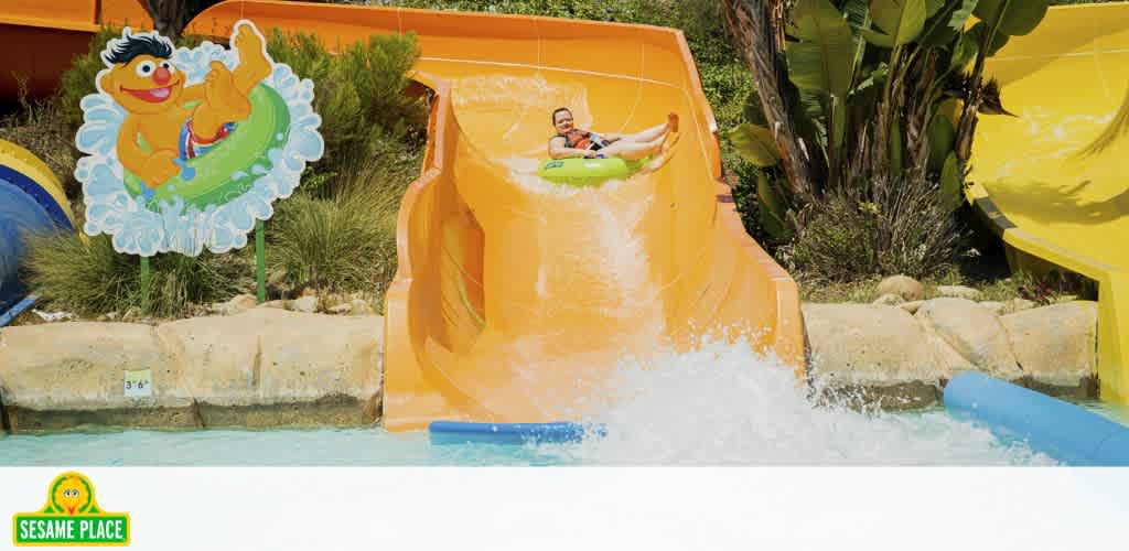 Person sliding down a water slide with a colorful Sesame Street character sign nearby.