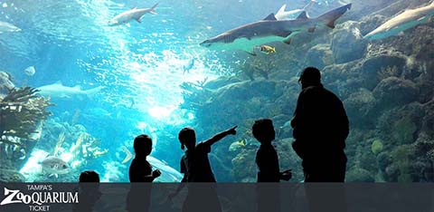 Tampa ZooQuarium discount tickets