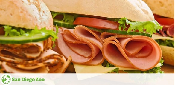 This is an image of a deli sandwich with sliced ham, cheese, lettuce, and tomato on a white bread roll. In the bottom left corner, there's a pretzel. The words 'San Diego Zoo' appear on the bottom of the image, suggesting a connection to the zoo.