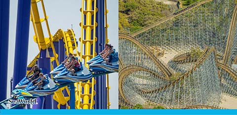 This image is split into two sections featuring roller coasters. On the left, riders are secured in a blue and white coaster car with overhead harnesses, plunging down a vertical yellow track against a clear sky. The right section shows a wooden coaster's intricate structure with numerous beams, complemented by green foliage in the background. The SeaWorld logo is present on the bottom left.