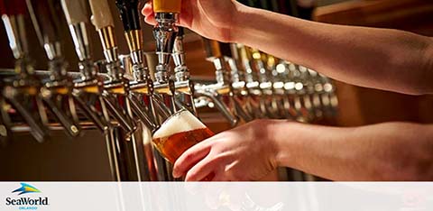 A person pouring beer from a tap into a glass, with a SeaWorld logo visible.