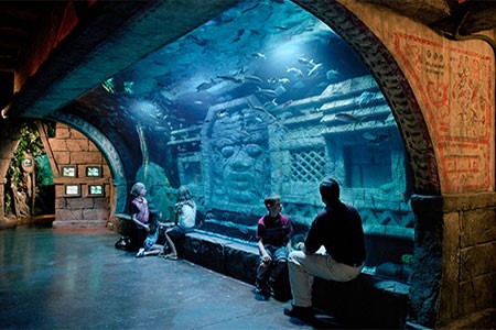 Downtown Aquarium Houston
