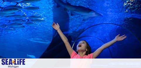 A person with arms outstretched stands beneath a large aquarium tunnel. Overhead, a silhouette of a shark swims by in the blue-lit water. The text SEA LIFE Michigan is visible in the foreground.