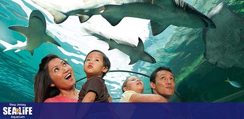 A family of three is watching in awe as sharks swim above them in a large aquarium. They are underneath a transparent tunnel with a vibrant blue underwater scene around them. The New Jersey SEA LIFE Aquarium logo is visible in the corner.