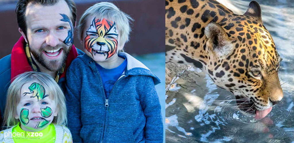 Phoenix Zoo discount tickets