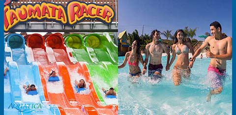 Image showing two scenes from a water park. On the left, people slide down colorful water racers under a sign that reads 'Taumata Racer' from Aquatica. On the right, a group of happy young adults splashes into a pool at the end of a water slide, smiling and enjoying the water. Colors are bright and the mood is lively.