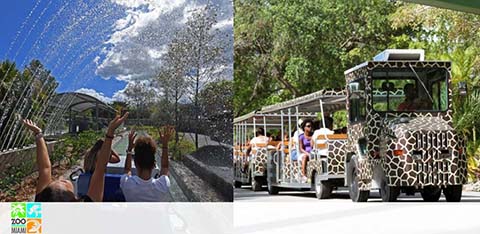 A zoo tram with passengers on a sunny day; a fountain sprays water on the left.