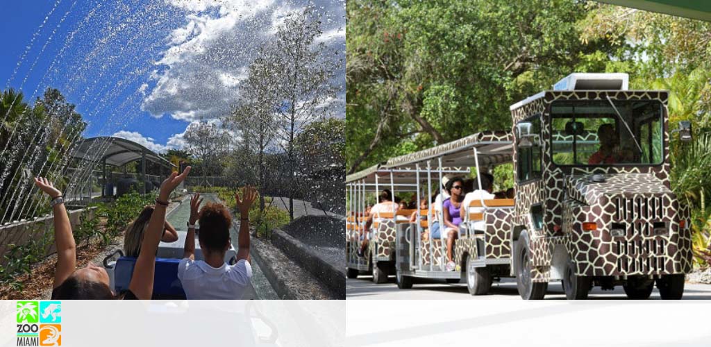 People on a tram tour at a zoo with giraffe patterns.