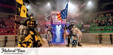 This image showcases an exciting scene from a Medieval Times Dinner & Tournament. In the center of an arena, adorned with sandy flooring and surrounded by spectator seating, three knights on horseback are depicted in action. Each knight is clad in distinctive, vibrant armor with heraldic patterns, and they carry flags bearing symbols that correspond with their attire. The knight on the left is dressed in yellow and black with a checkered pattern, while the central knight's banner displays a red and yellow striped flag with a coat of arms. The knight on the right sports blue and white colors. The horses are also elaborately outfitted in coordinating colors and patterns to match each knight. The background is filled with theatrical smoke, enhancing the dramatic atmosphere, with an audience visible in the upper part of the image, eagerly watching the show. Below the scene, the Medieval Times logo is clearly displayed as a testament to the brand.

Experience the thrill of chivalry, horsemanship, and falconry while dining in a castle setting, and enjoy savings on your adventure with GreatWorkPerks.com's lowest prices on tickets.