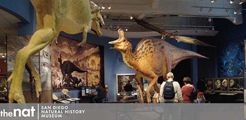 Image Description: This is an indoor scene from the San Diego Natural History Museum, also known as The Nat. The exhibit space is well-lit and features a life-size model of a yellow and brown feathered dinosaur with wings spread, standing prominently in the foreground to the left. This dynamic model captures the creature in mid-motion, as if it were caught during flight or display behavior. In the background, several visitors, including families and individuals, are viewing the exhibits. They are facing away from the camera, engaged in observing the various displays of natural history, which include skeletal remains and detailed wall murals depicting prehistoric wildlife. The atmosphere of the museum is educational and interactive.

To enhance your experience even further, remember to check GreatWorkPerks.com for exclusive discounts and savings on tickets, ensuring you're getting the lowest prices as you embark on a prehistoric adventure!