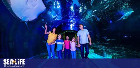 A family of four stands inside an aquarium tunnel, surrounded by marine life, smiling at the camera.