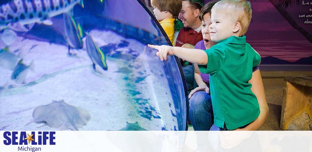 A child in a green shirt excitedly points at aquatic life in a large aquarium at SEA LIFE Michigan. Visitors look on with joy as fish swim by and stingrays rest on the sandy bottom, creating an immersive underwater experience. The SEA LIFE logo is visible in the corner.