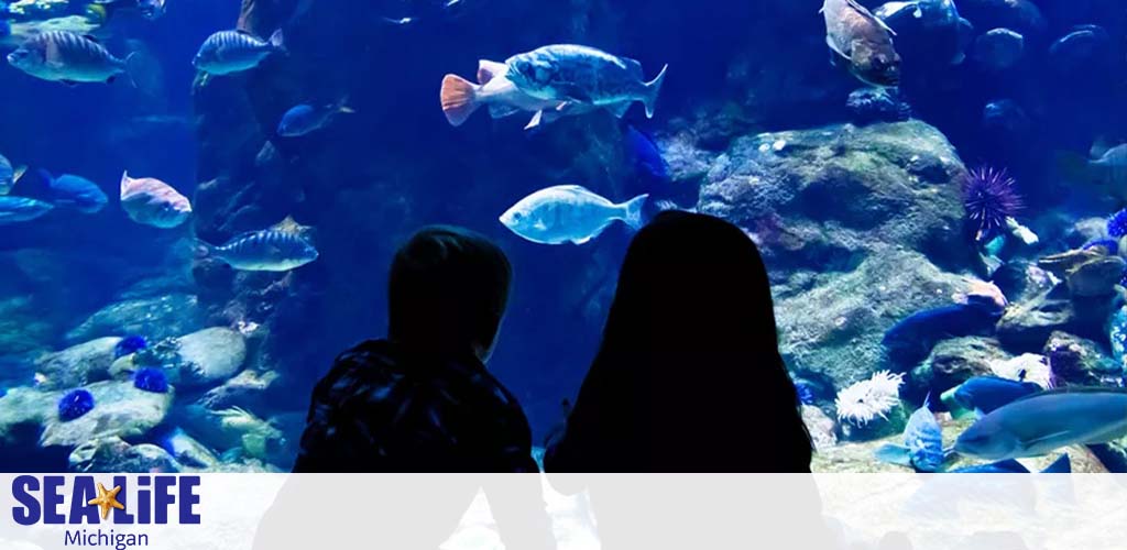 Two individuals are silhouetted against a large aquarium filled with various fish and marine life. The blue and tranquil underwater scene at SEA LIFE Michigan showcases an array of fish swimming among rock formations and sea plants. The SEA LIFE logo is visible at the bottom.
