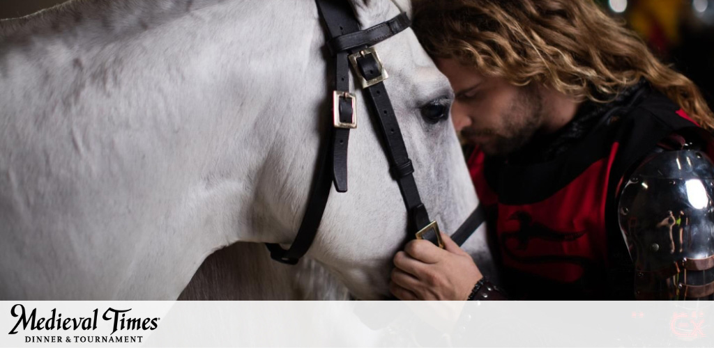Image Description: This image captures a tender moment between a performer dressed as a medieval knight and a majestic white horse. The knight, sporting long curly hair, is adorned in a black and red tunic with a dragon emblem and is wearing a metallic shoulder armor piece. He is shown gently pressing his forehead against the horse's head, evoking a sense of camaraderie and trust. The horse, outfitted with a dark bridle, stands calmly, suggesting a strong bond with the knight. In the foreground, we see the sleek, well-groomed side of the horse, while in the background, the image is softly focused, emphasizing the intimate interaction. The logo "Medieval Times Dinner & Tournament" is visible in the lower left-hand corner, indicating the themed nature of this event.

At GreatWorkPerks.com, you can immerse yourself in the chivalry and showmanship of bygone eras, all while enjoying tremendous savings—browse our selection to find the lowest prices on tickets for a royal adventure!