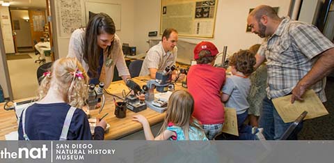 This image depicts an interactive and educational scene inside the San Diego Natural History Museum, also known as The Nat. Several children and adults are gathered around a table where they are engaged in an activity involving microscopes. A museum staff member is assisting a young girl with blonde hair who is looking into a microscope, while another adult male staff member is observing and assisting. To the right, a man with a beard is standing and watching over the children, who appear to be focused and curious about what they see. The room has a casual and studious atmosphere with educational posters on the wall, suggesting a hands-on learning environment.

Unlock the mysteries of the natural world and enjoy savings when you purchase your tickets through GreatWorkPerks.com, offering the lowest prices for a family adventure at The Nat.