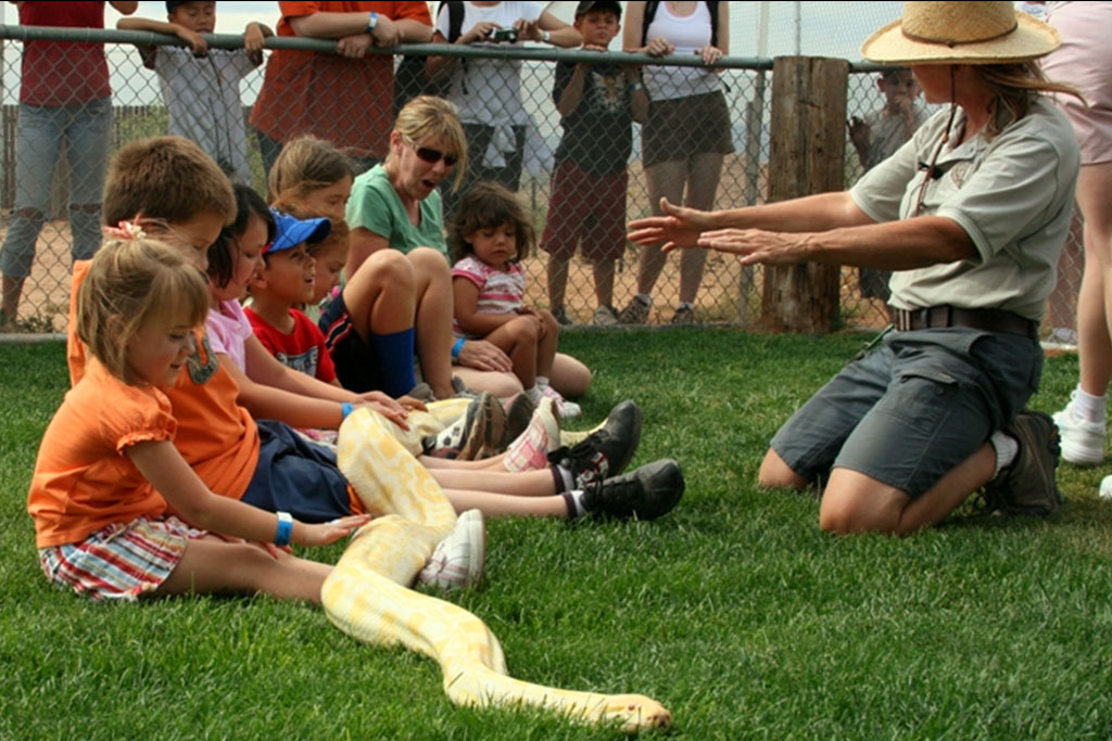Giant Snake Show - Out of Africa Wildlife Park