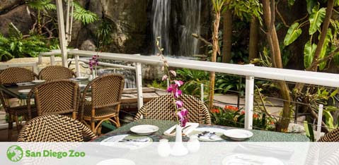 An outdoor dining area with tables set for a meal. Rattan chairs surround each table, with a white railing and lush greenery in the background. A waterfall adds to the tranquil vibe. The San Diego Zoo logo is displayed at the bottom left corner.