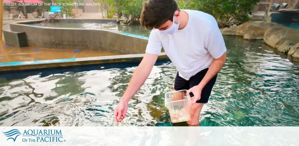 Aquarium of the Pacific discount ticket