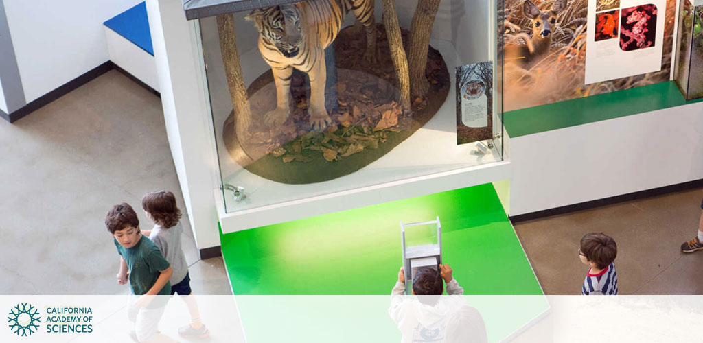 California Academy of Sciences discount tickets