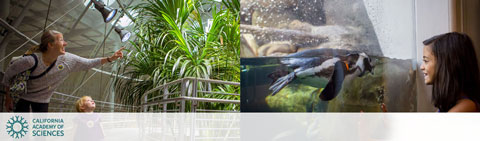 California Academy of Sciences discount tickets