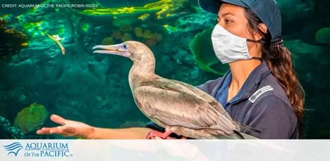 Aquarium of the Pacific tickets