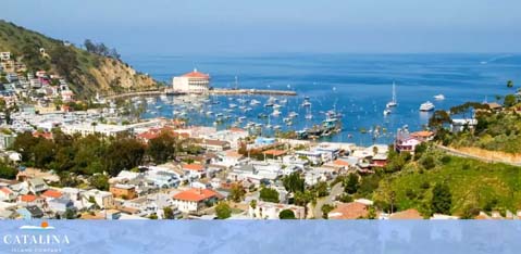 Catalina Island Company discount tickets