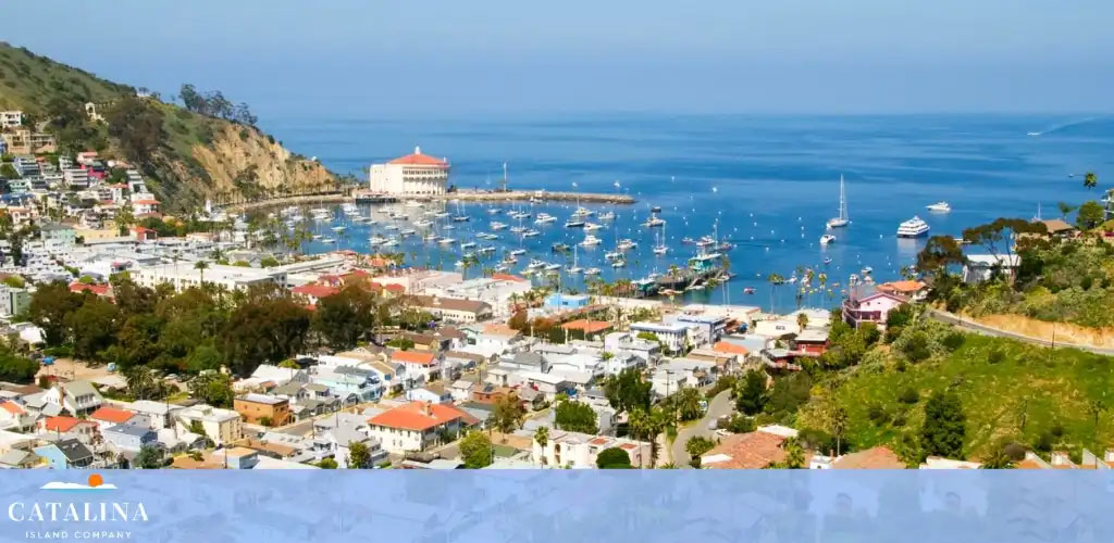 Catalina Island Company discount tickets