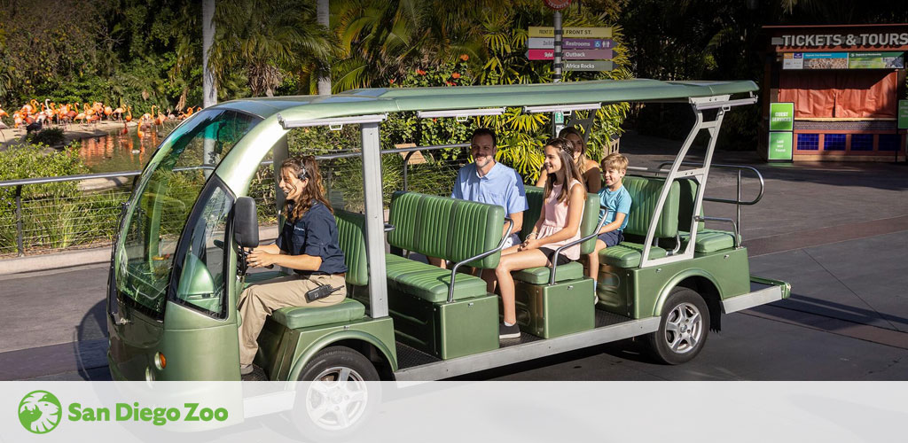 Image depicts a green multi-passenger electric cart at the San Diego Zoo with a driver in uniform at the front and a family of three, an adult and two children, seated behind. They appear to be on a tour with a backdrop of tropical foliage and a flamingo exhibit. The zoo's logo is visible in the corner.