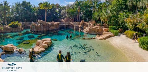 Discovery Cove Orlando discount tickets