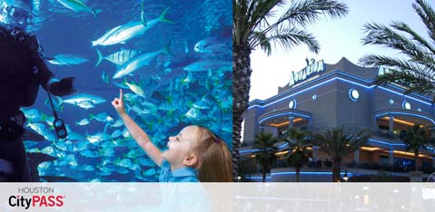 Left side shows a child pointing excitedly at fish in a large aquarium, with a silhouette of a scuba diver behind the glass. Right side displays the exterior of a well-lit, palm-framed modern building at dusk. Text included: Houston CityPASS.