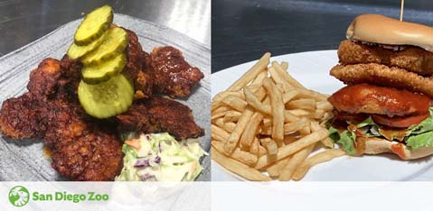 The image features two different plates of food. On the left is a serving of fried chicken wings with pickles on top and a side of coleslaw on a metal tray. To the right is a cheeseburger topped with lettuce and onion rings, accompanied by a side of fries on a white plate. The logo of San Diego Zoo is seen at the bottom left corner indicating a connection to the location. The meals suggest a casual dining experience possibly available at the zoo.