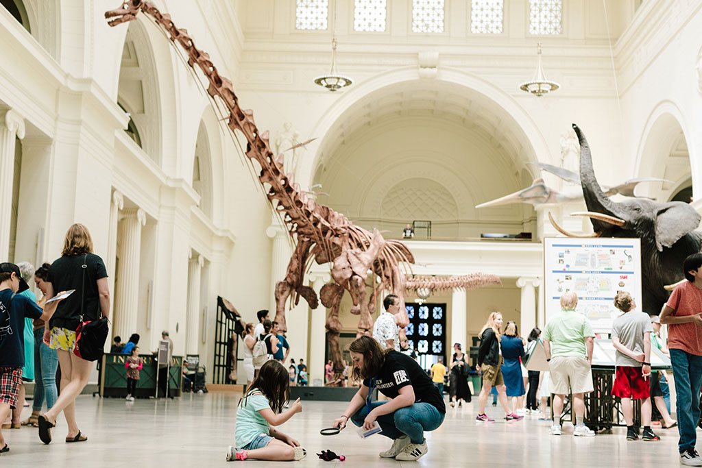 The Field Museum of Natural History