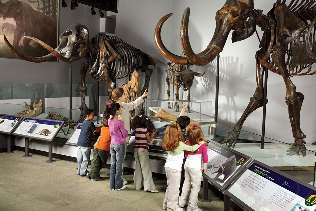 The Field Museum of Natural History